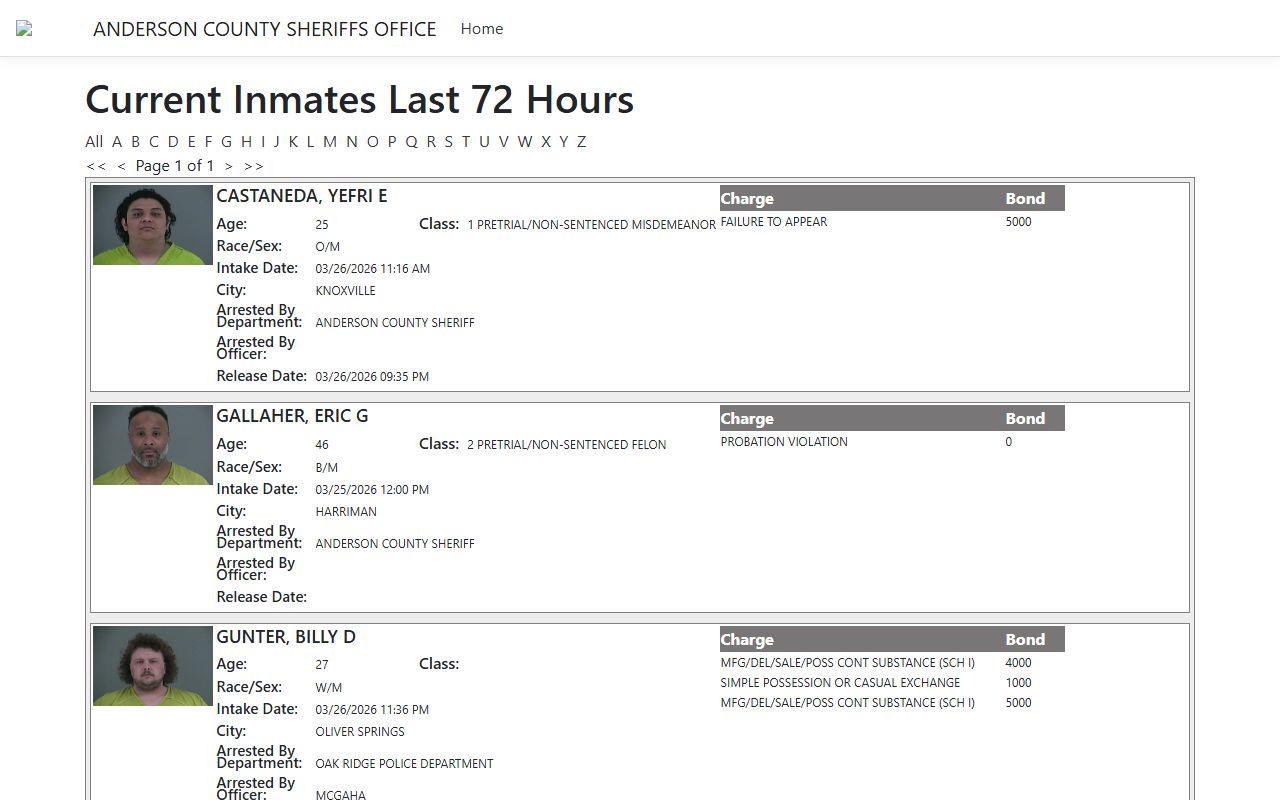 Anderson County Warrant Records portal showing recent jail intake and release data